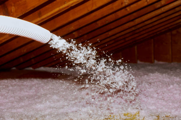 Best DIY Insulation Kits and Guidance in Stafford Courthouse, VA