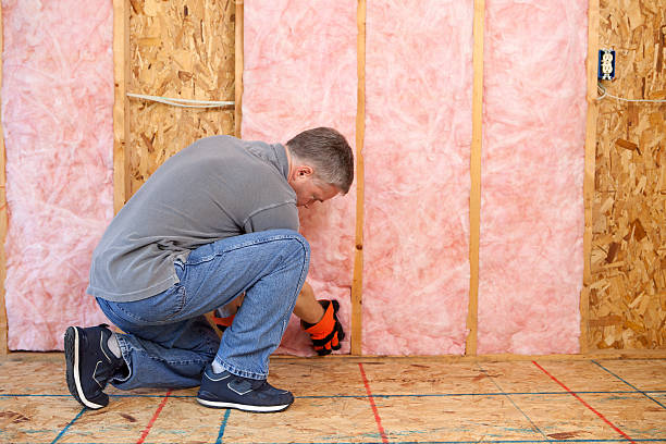 Best Commercial Insulation in Stafford Courthouse, VA